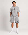 Ensemble Secret Success Gris